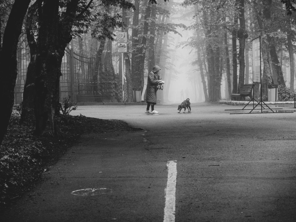 Photo #9147862