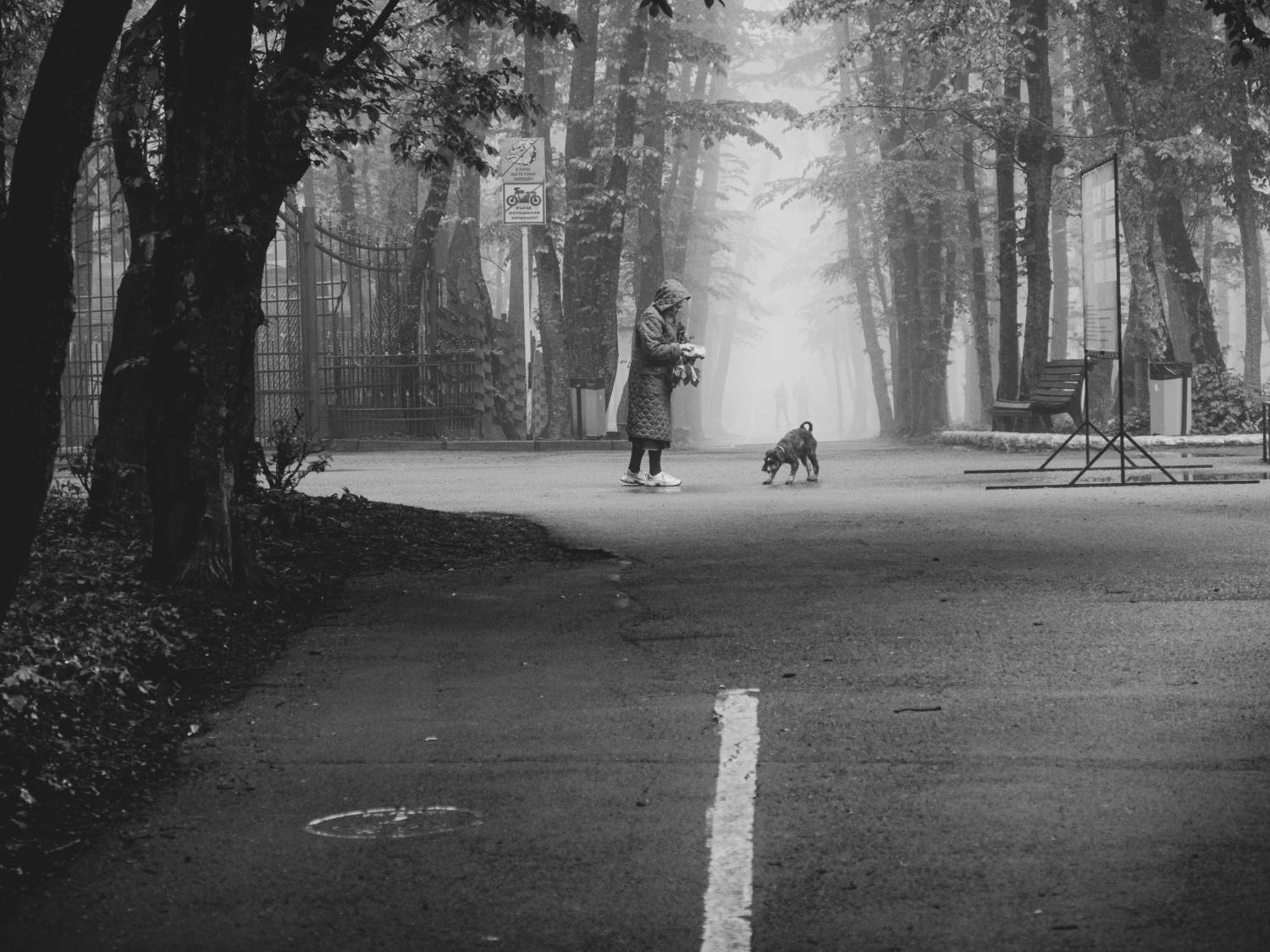 Photo #9147862