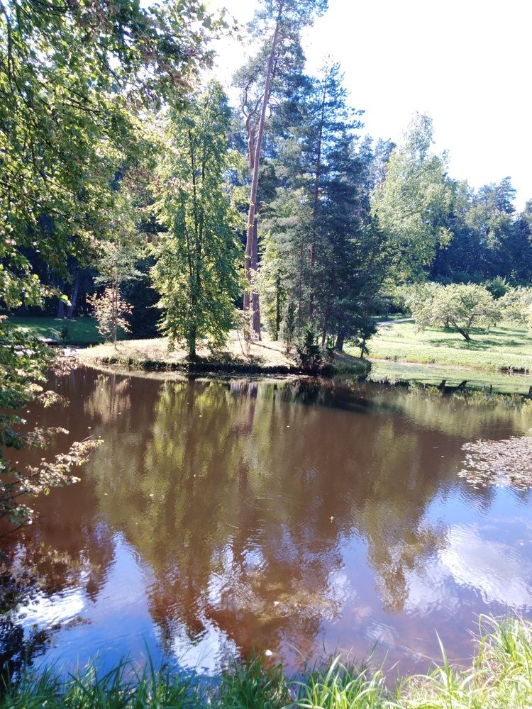 Photograph by Янина Милош