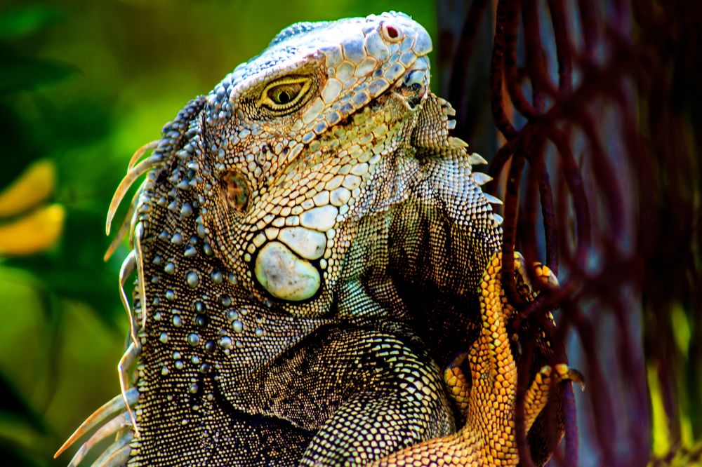 Photograph by Alexander Morales