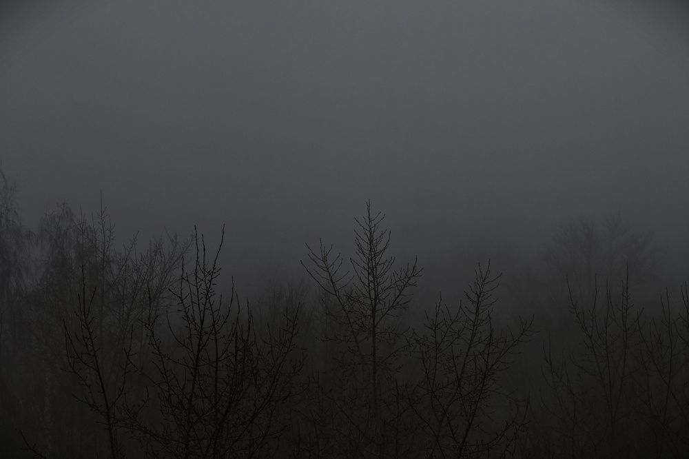 Фотография автора Ola La