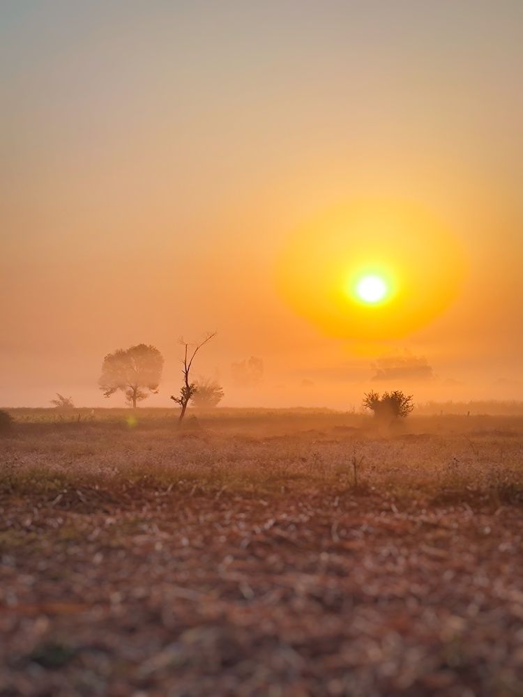 Photograph by HARSHIT MISHRA