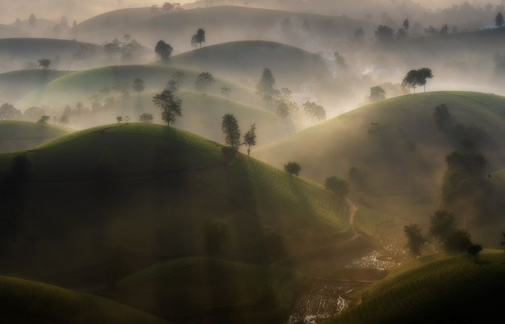 Photograph by Duy Chris