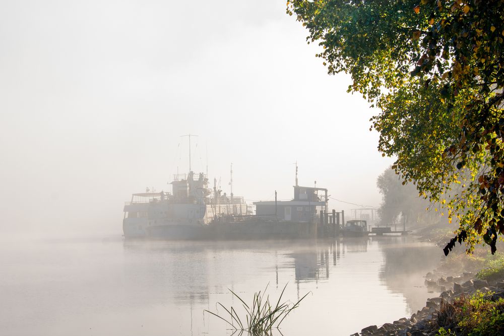 Photograph by Владимир Рогулькин