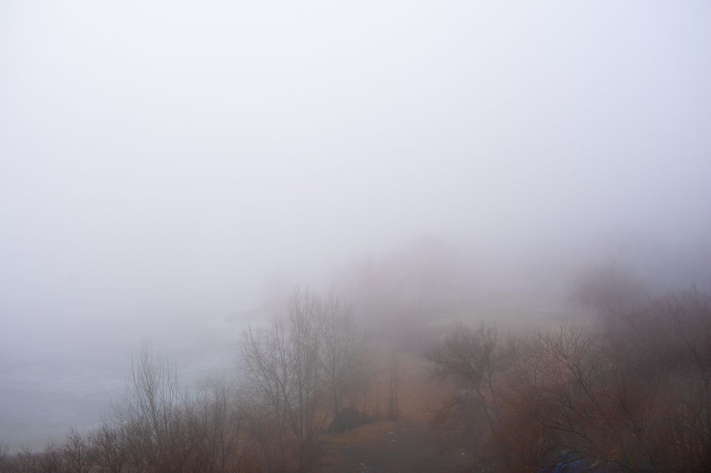 Photograph by Владимир Рогулькин