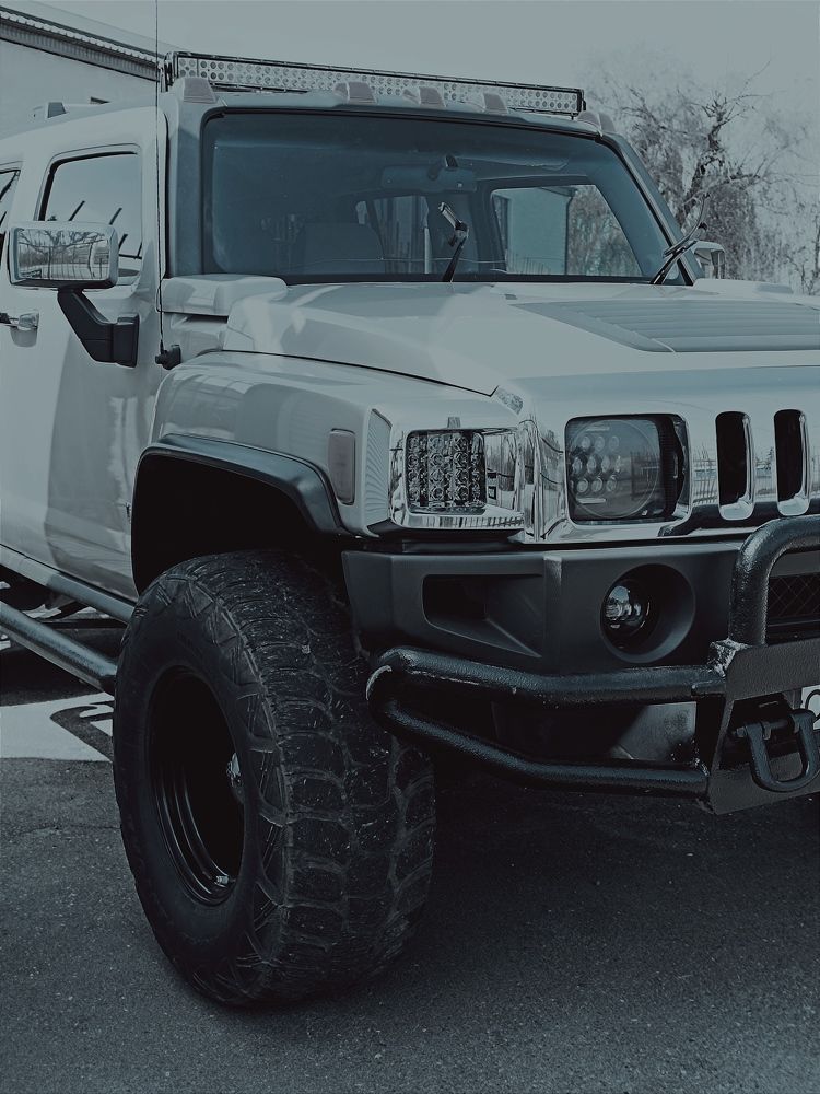 Фотография автора OXANA MARSOVA