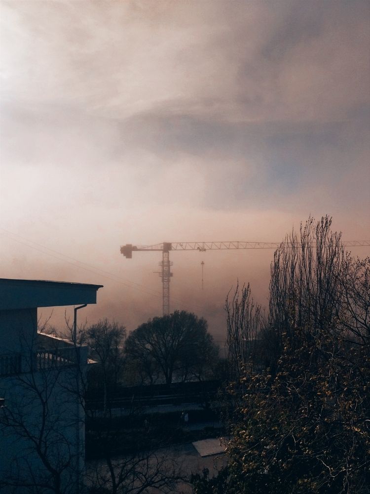 В утреннем тумане