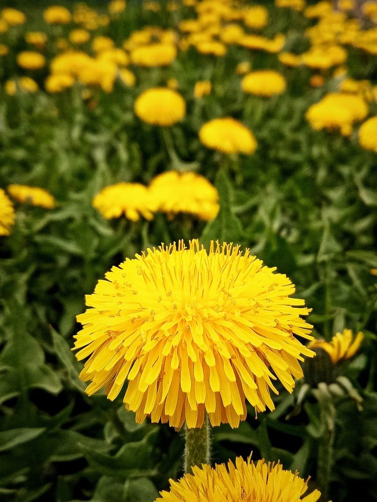 Photograph by Владимир Сушкин