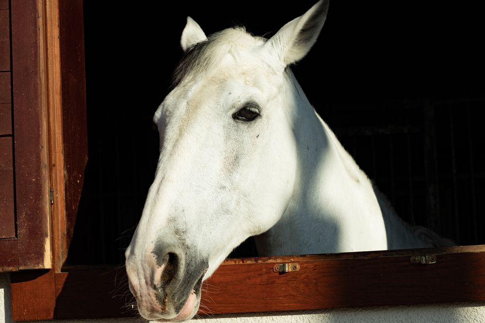 Photograph by Mahmut YILMAZ