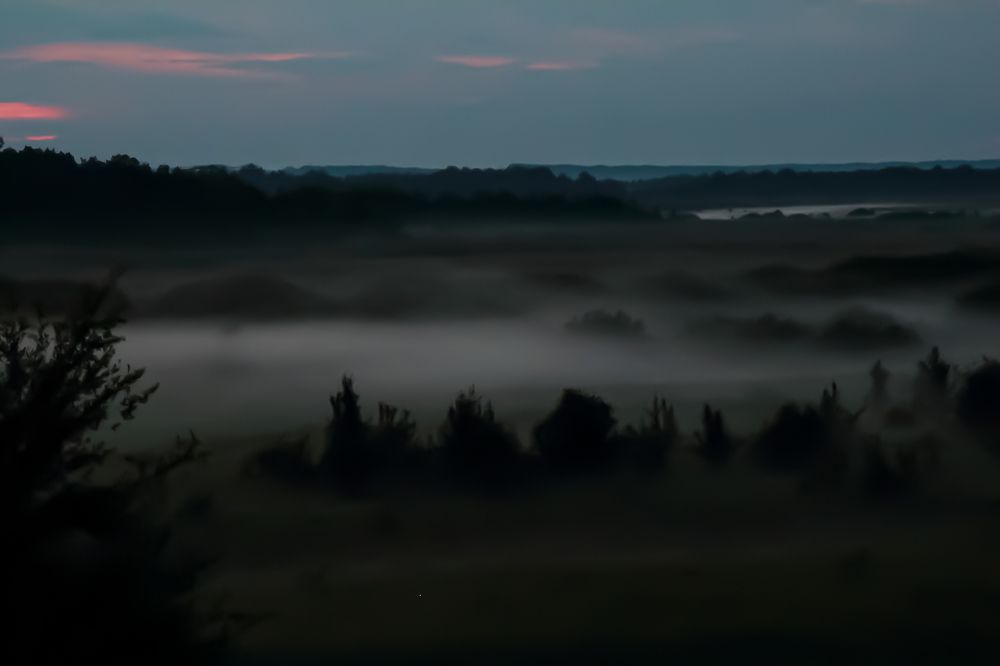 Photograph by Ирина Шибитова