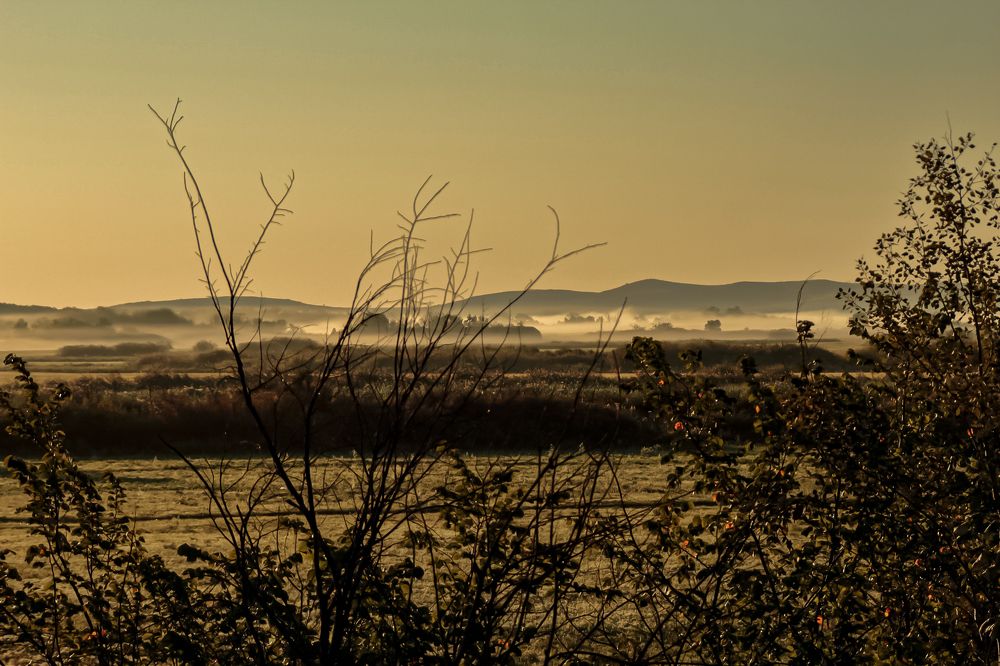 Photograph by Ирина Шибитова