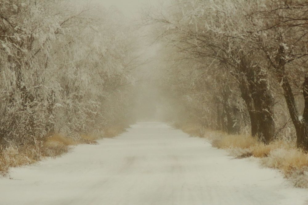 Photograph by Ирина Шибитова