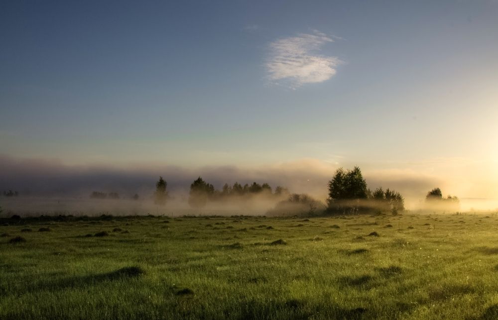 Photograph by Татьяна Романова