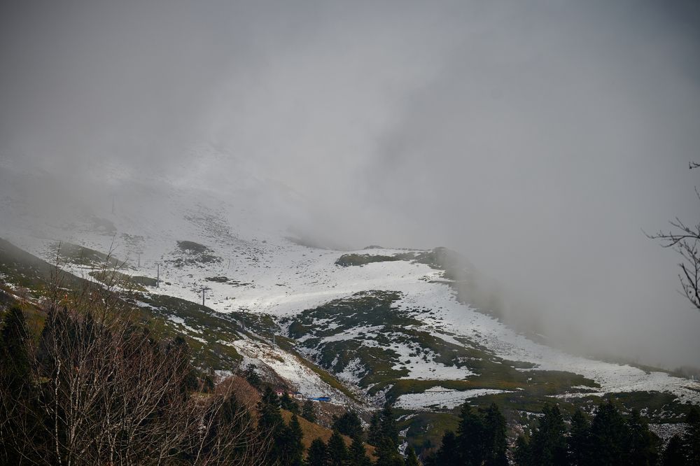 Фотография автора Александр Жданов