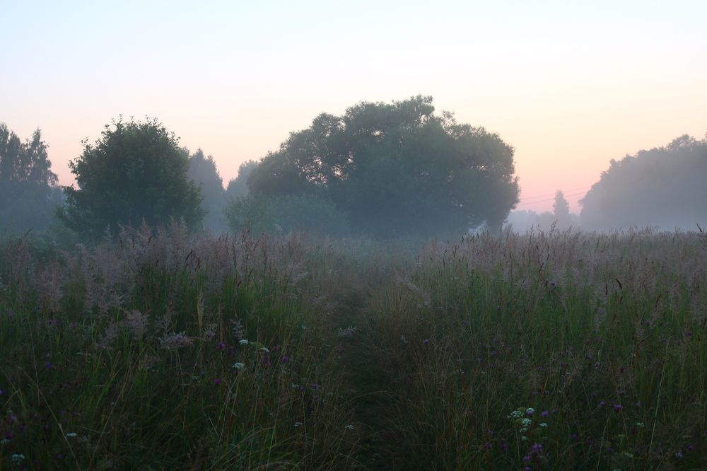 Photograph by Светлана Шуткова