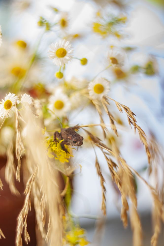 Photograph by Ольга Резникова