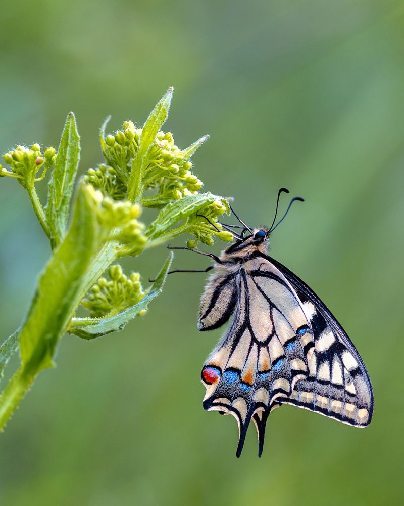 Фотография автора  Михаил