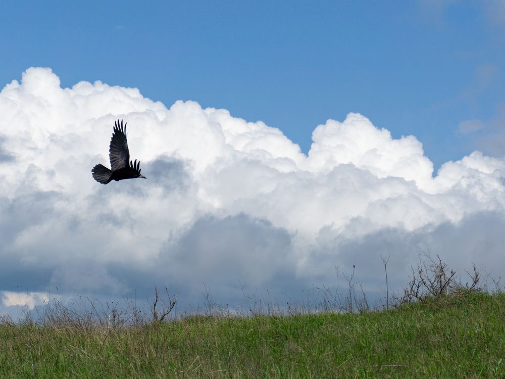 Photograph by Кирилл Черняев