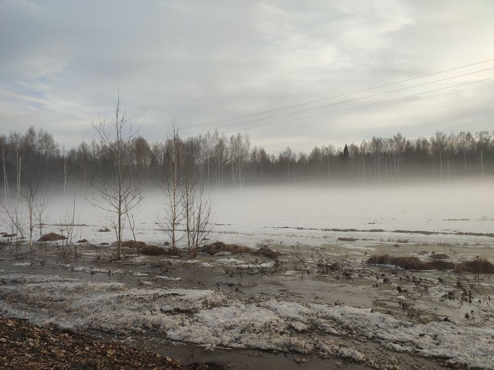 Photograph by Светлана Батурова