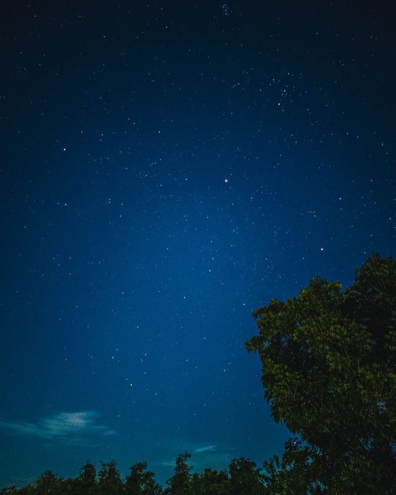 Photograph by Pranay Mukherjee