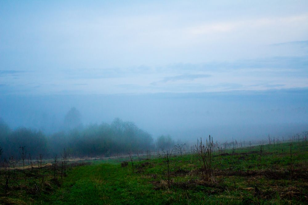 Photograph by Алексей