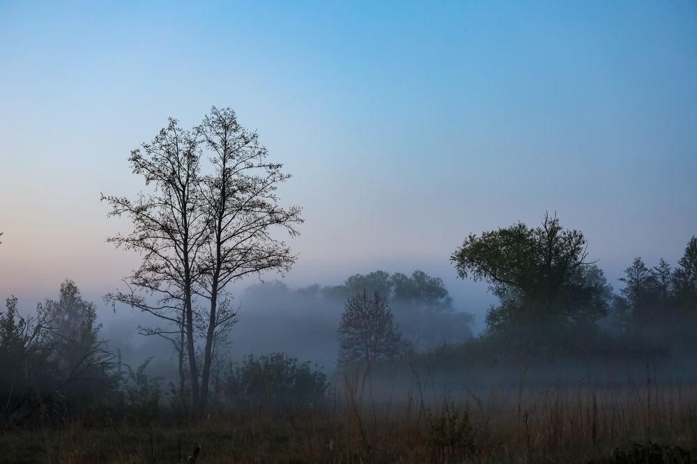Photograph by Светлана Солдатченкова