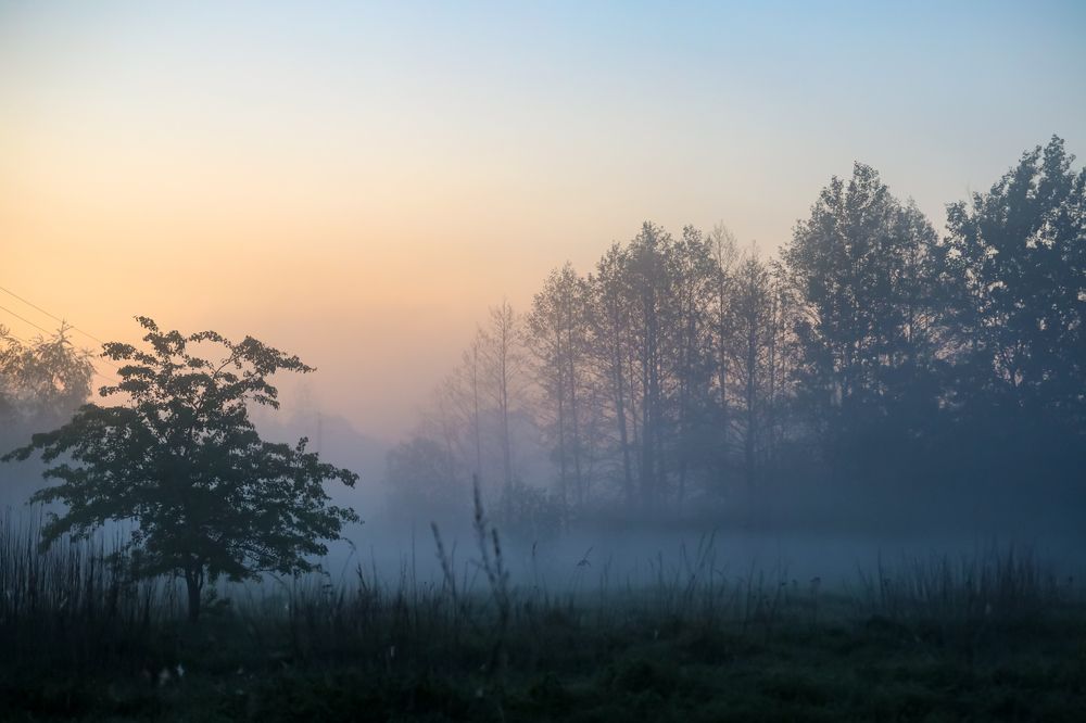 Photograph by Светлана Солдатченкова