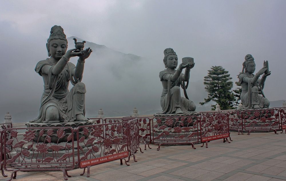 Фотография автора АЛЕКСАНДР ЦЫГЕЛЬНЮК