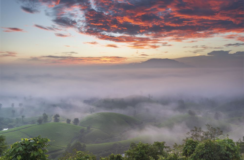 Photograph by Duy Chris