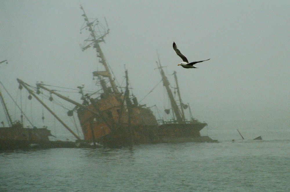 Фотография автора Владислав    ( ЭнВэ ) Нефёдов