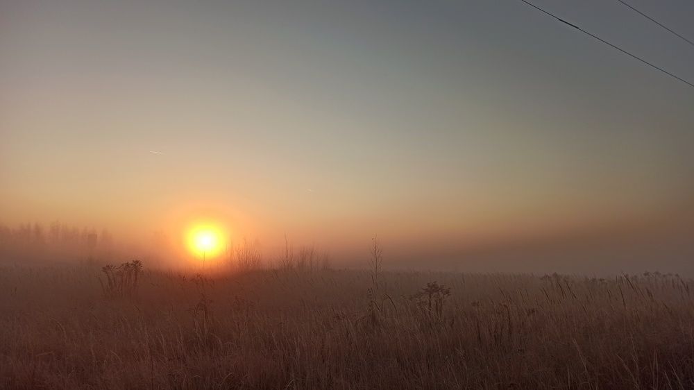 Туманная колыбель