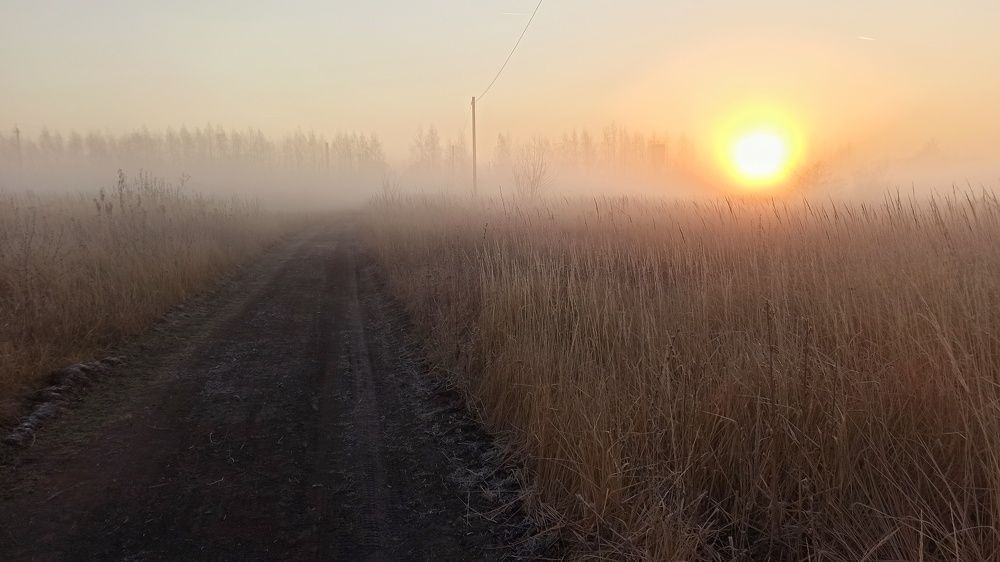 Солнышко в тумане