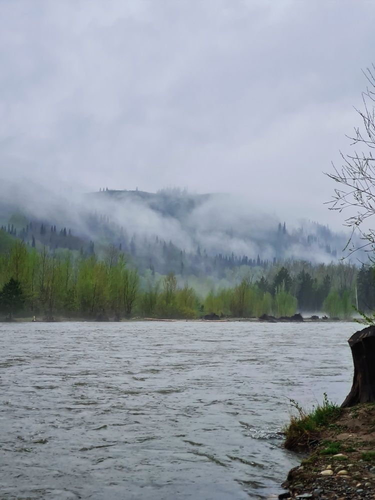 Photograph by Ольга Веселова