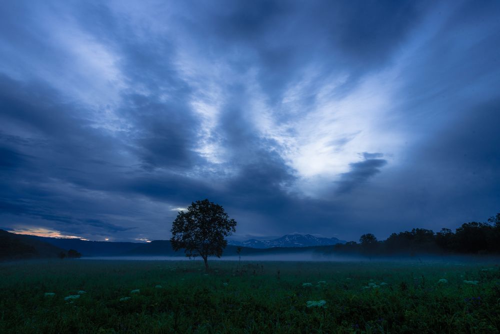 Photograph by Алексей Ознобихин