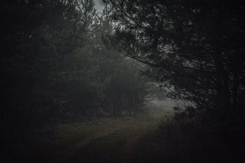 Фотография автора Ксения Вабищевич