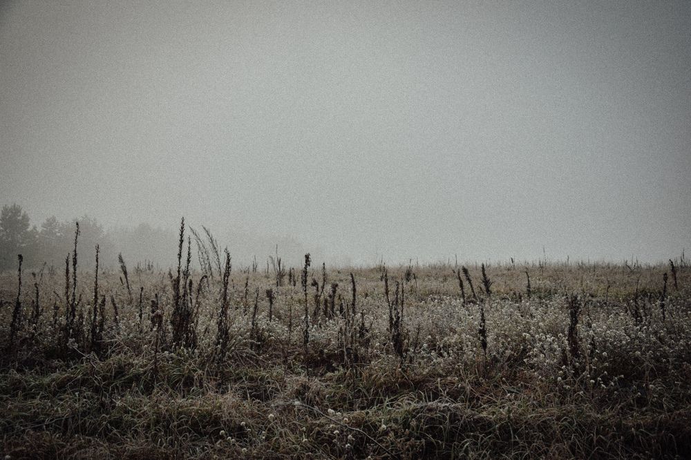 Фотография автора Ксения Вабищевич