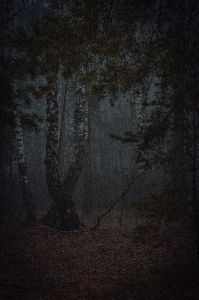 Фотография автора Ксения Вабищевич