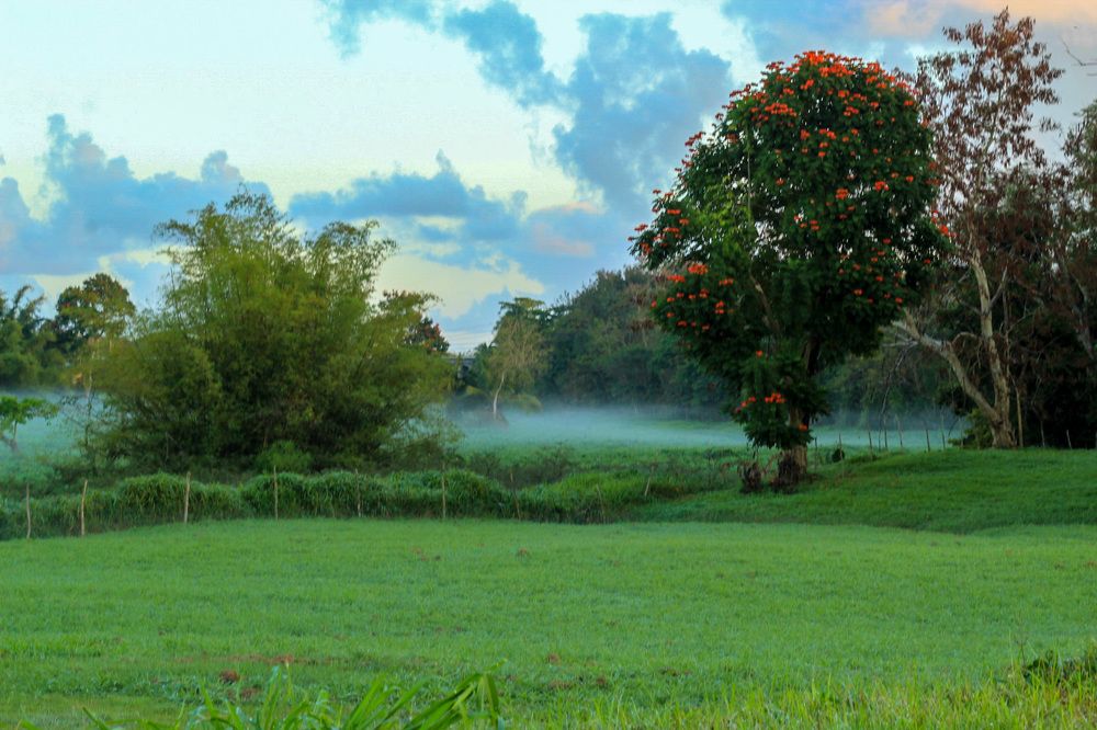 Фотография автора Jose Otero