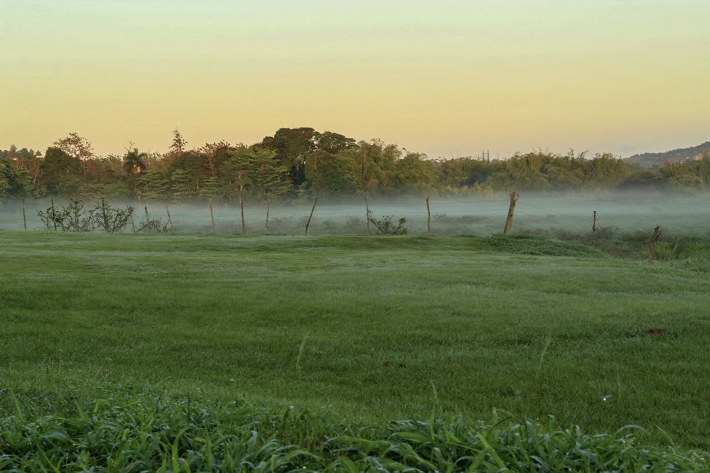 Фотография автора Jose Otero