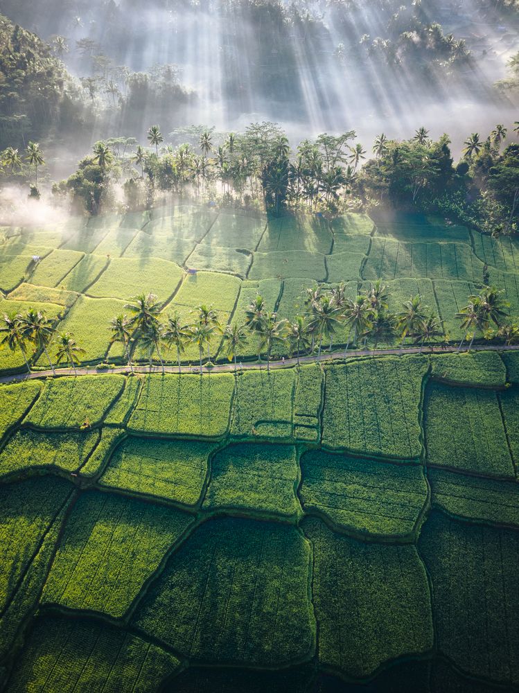 Photograph by I Dewa Nyoman Yaskara S.H.