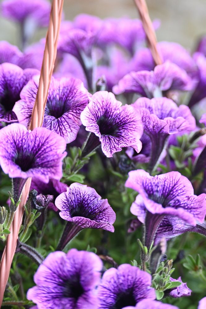 Фотография автора Александр Жданов