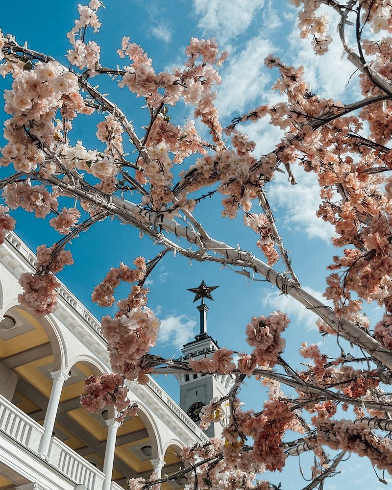 Photograph by Татьяна Шевченко