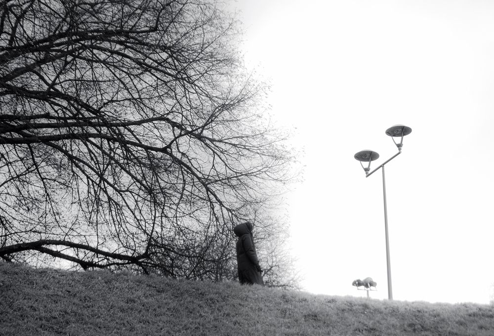 Photograph by shubhra sau