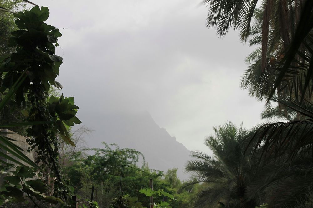 Photograph by Waleed Yousuf Alwahaibi