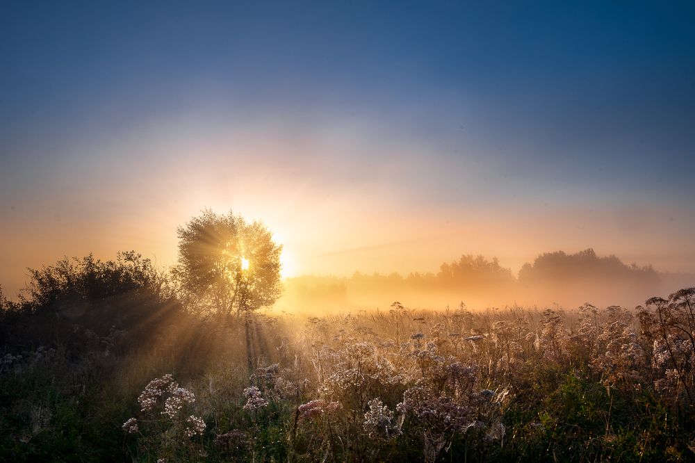 Photograph by ANDREY PYATNITSKIY