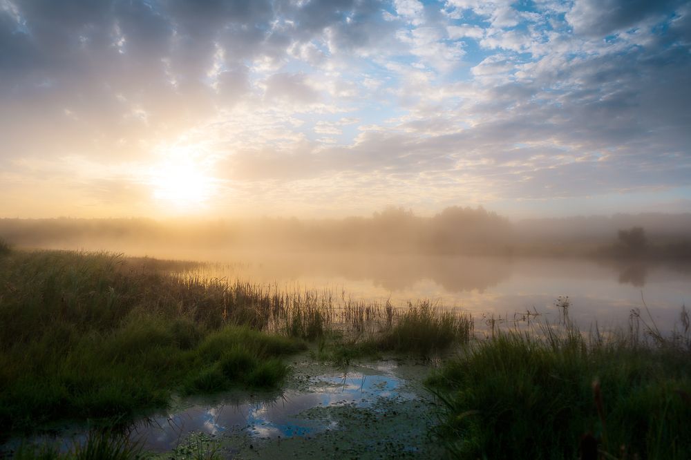 Photograph by ANDREY PYATNITSKIY