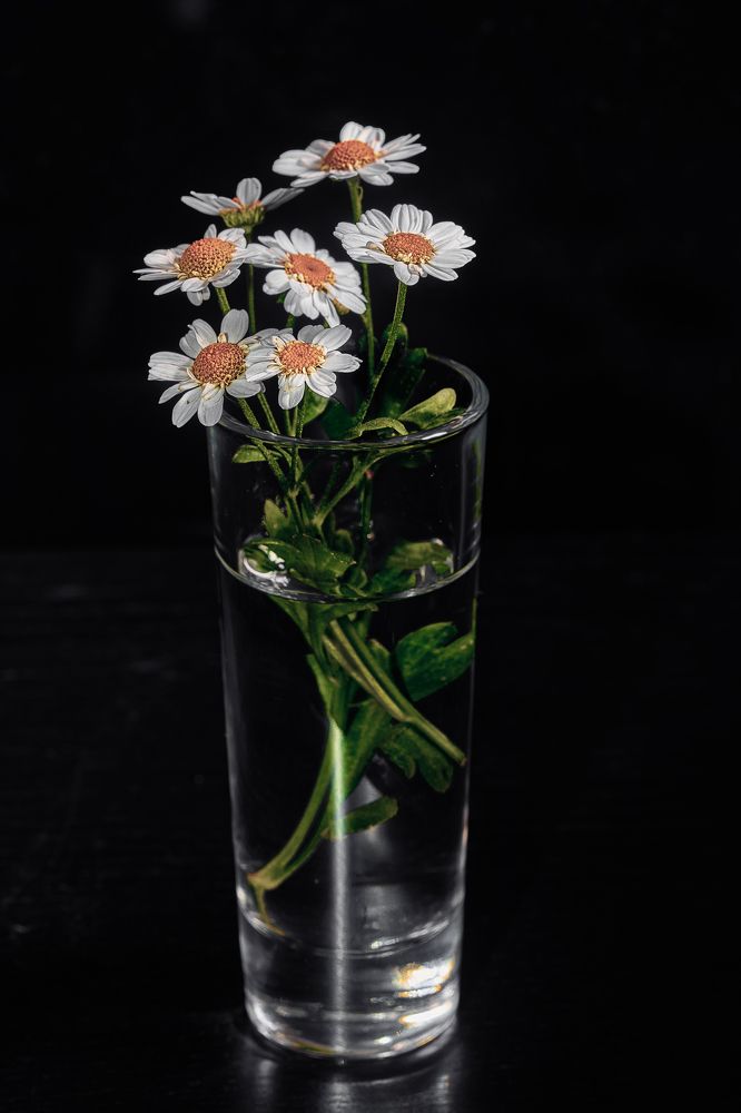 Photograph by Aleksandr Belov