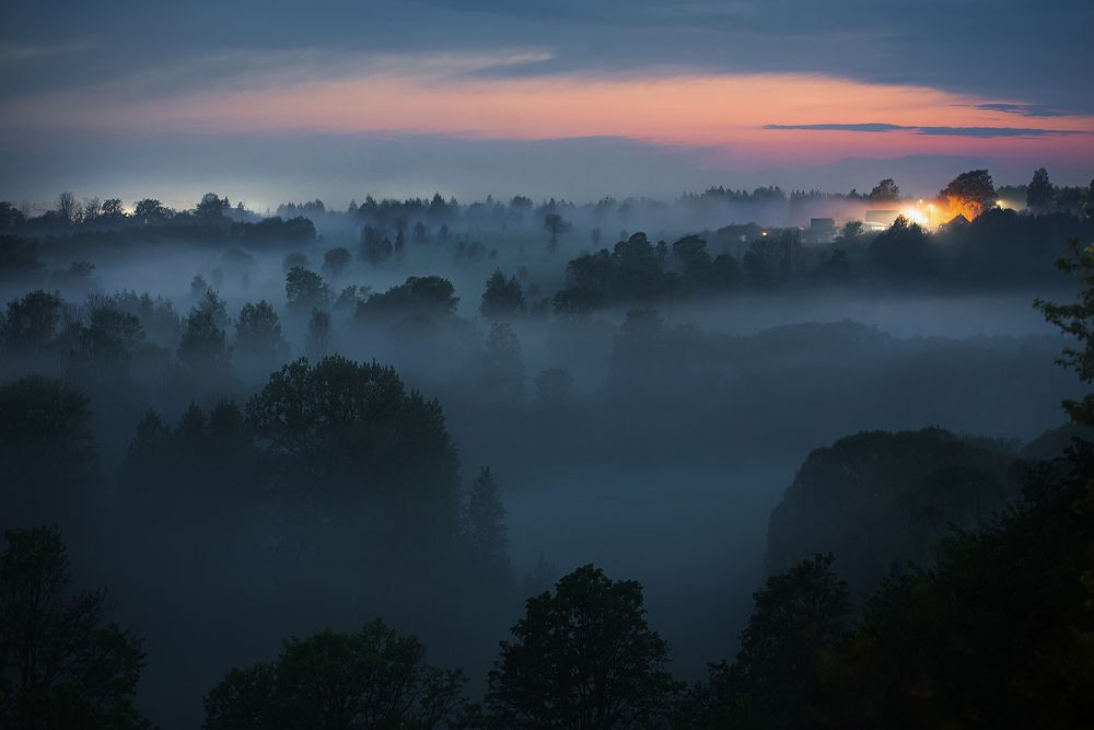 Photograph by Сальников Евгений