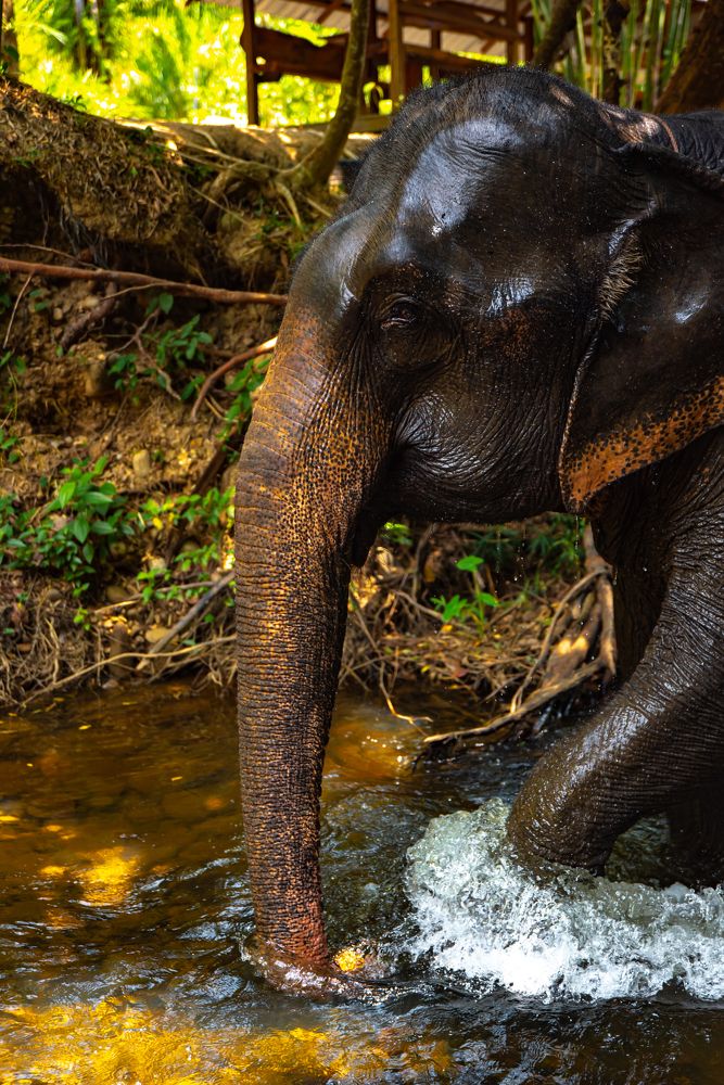 Photograph by Елена Прохорова