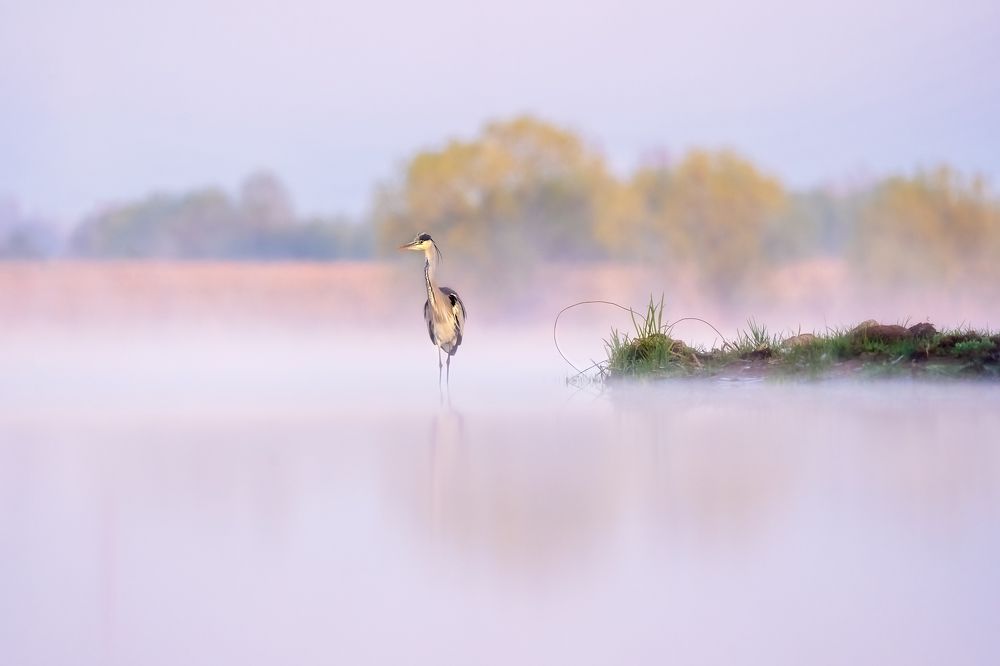 Photograph by Lyubomir Momchilov